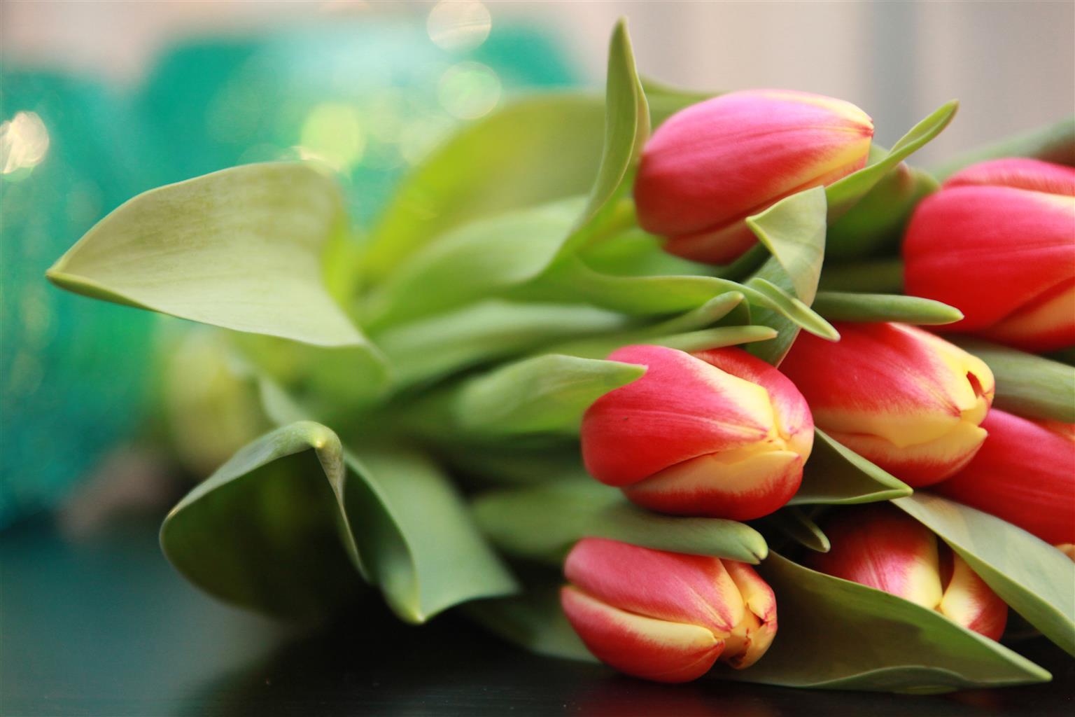 Maitrise Suites Apartment Hotel Ealing - Londra Esterno foto